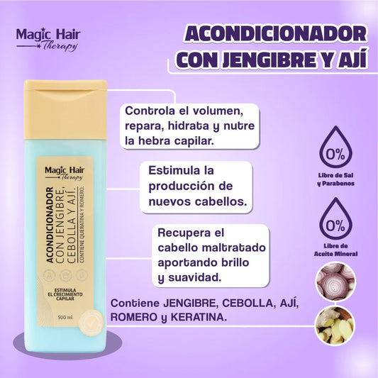 ACONDICIONADOR JENGIBRE, CEBOLLA Y AJÍ