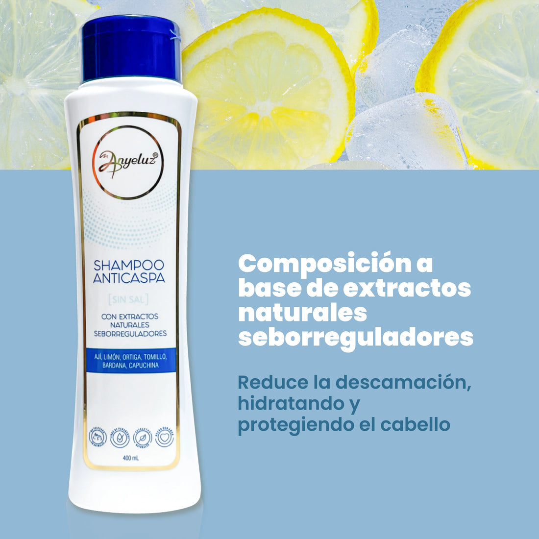 SHAMPOO ANTICASPA