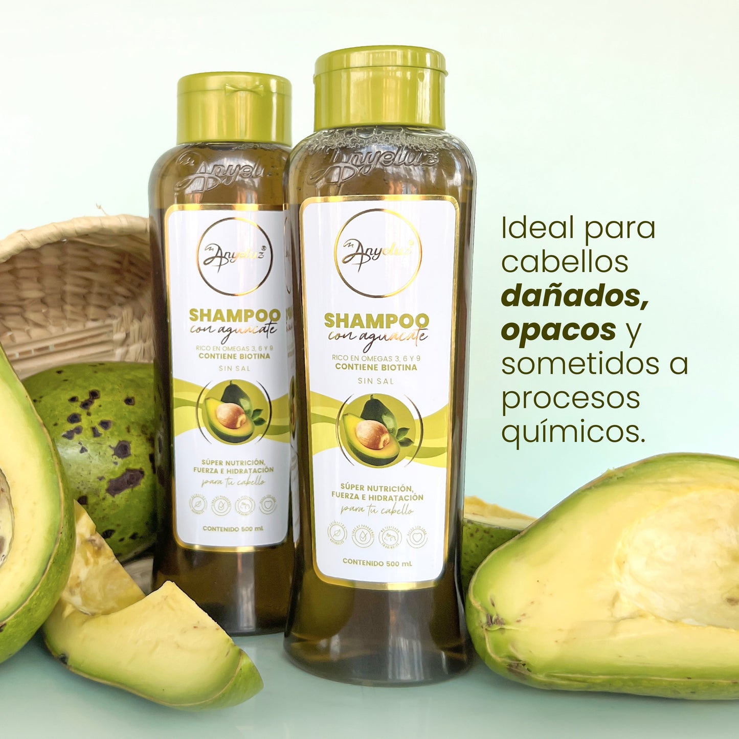 SHAMPOO CON AGUACATE ANYELUZ